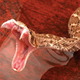 Illustration for article titled The science behind a snakes poison bite, and why its related to ketchup